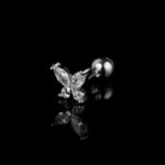 DSC06196_lr